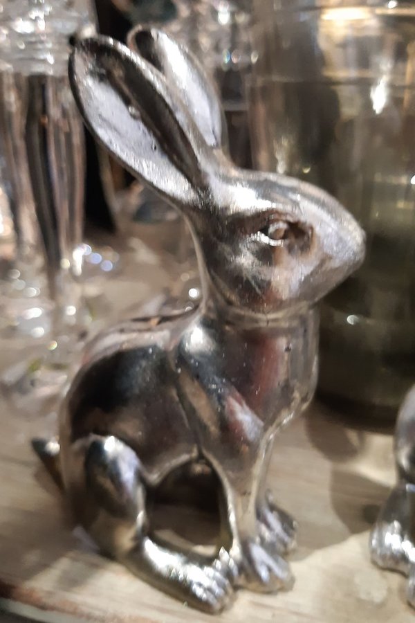 Hase Silber