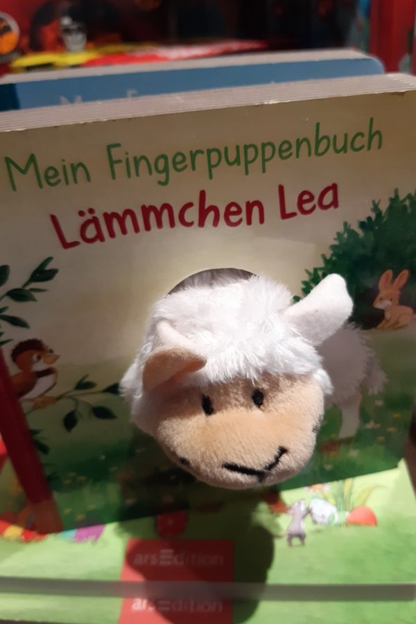 Büchlein Schaf